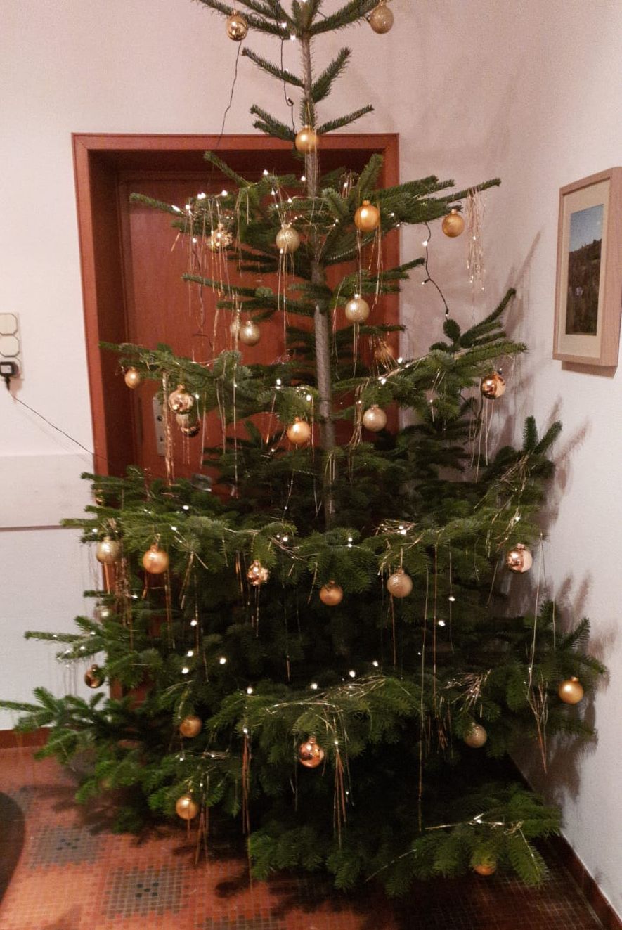 Weihnachtsbaum im Ferienhaus Rodershausen