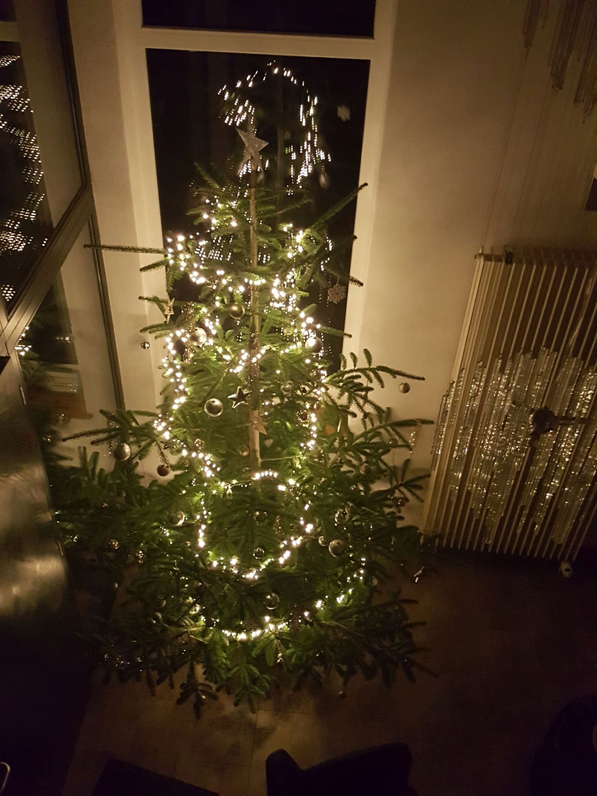 Ferienhaus Eifel-Atrium - Weihnachtsbaum